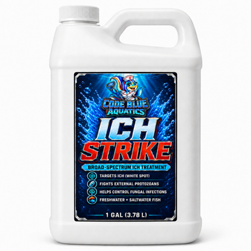 Ich Strike