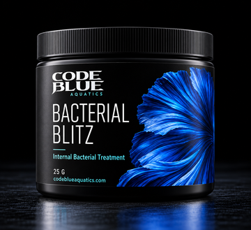 Bacterial Blitz