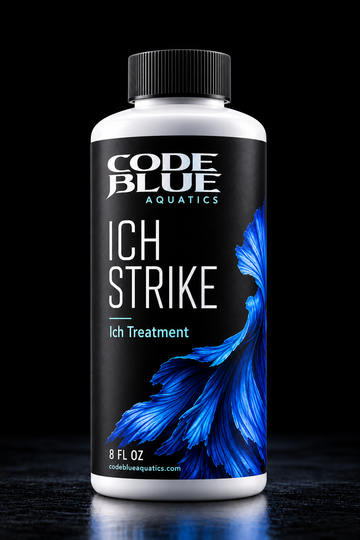 Ich Strike