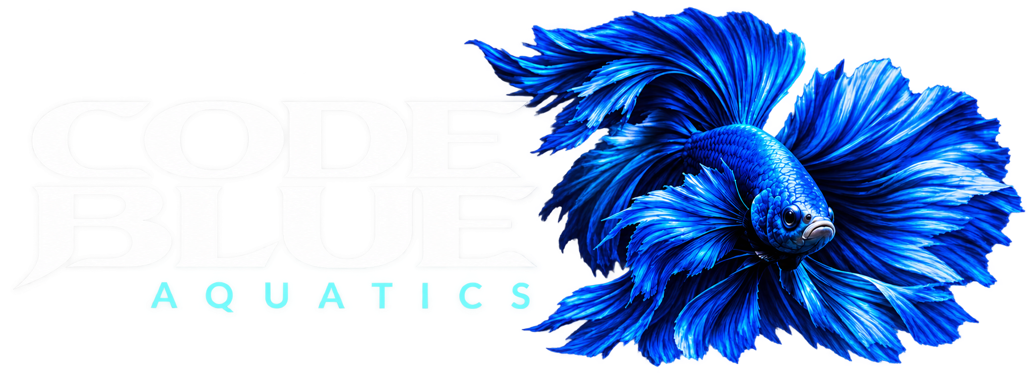 Code Blue Aquatics